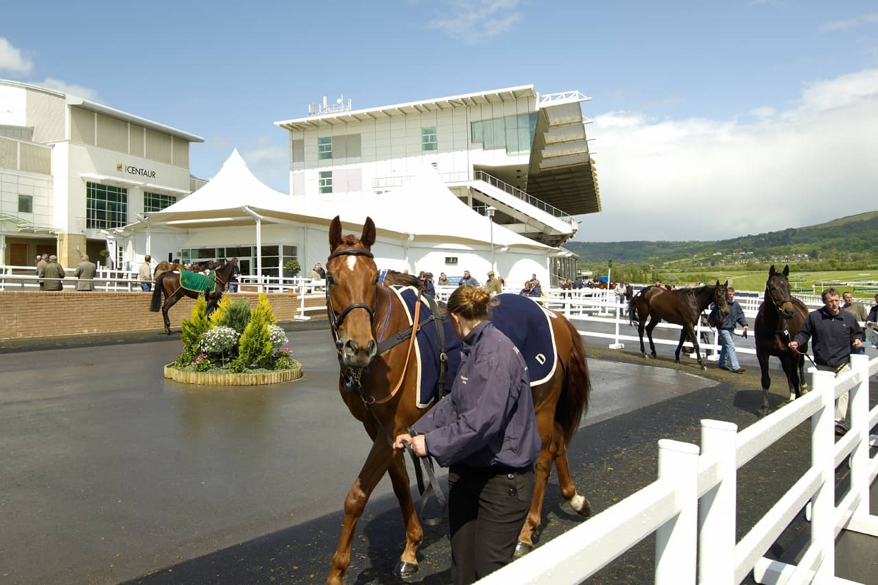 Cheltenham Racecourse Horse Sales Ring Architen Landrell