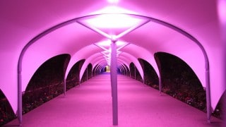 illuminated Walkway