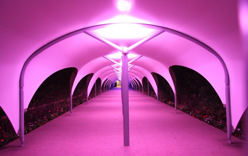 illuminated Walkway
