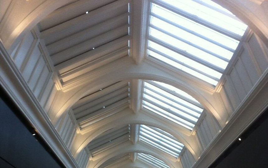IMG_0051 cropped(1.0)