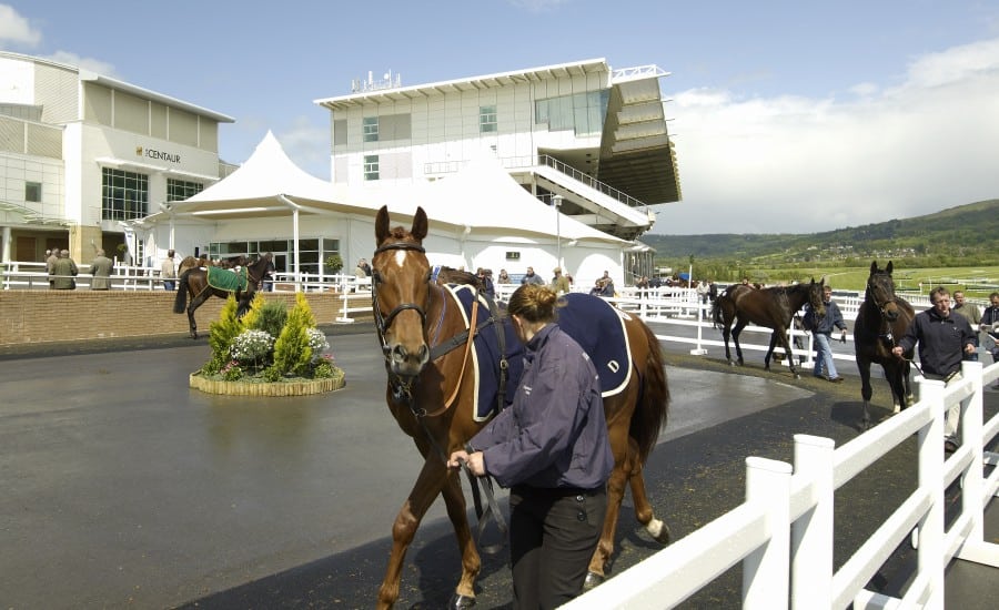 PVC polyester: Fabric structure at Cheltenham Racecourse 