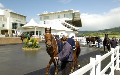 Outdoor tensile fabric horse sails ring