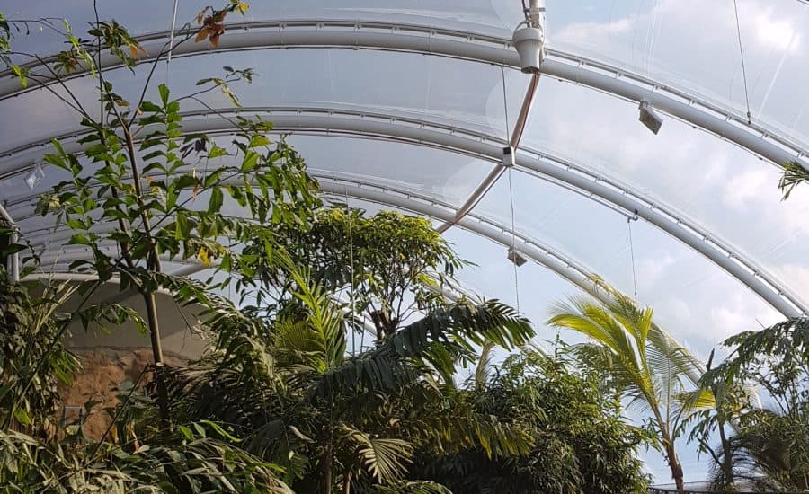 Marwell 1