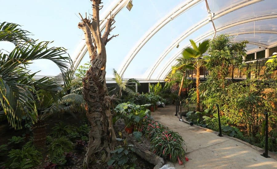 ETFE Cushion Roof: Tropical House, Marwell Zoo - Architen Landrell