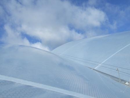 ETFE cushions